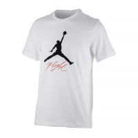 Футболка JORDAN JUMPMAN FLIGHT HBR TEE AO0664-100