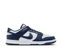 Кросівки Nike DUNK LOW RETRO HF5441-107