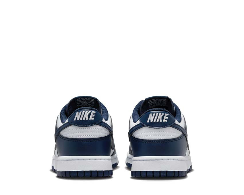 Кросівки Nike DUNK LOW RETRO HF5441-107