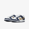 Кросівки Nike Dunk Low(GS) FB9109-111