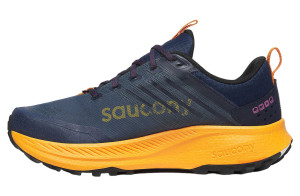 Кросівки для бігу Saucony RIDE TR2 GTX S20953-251