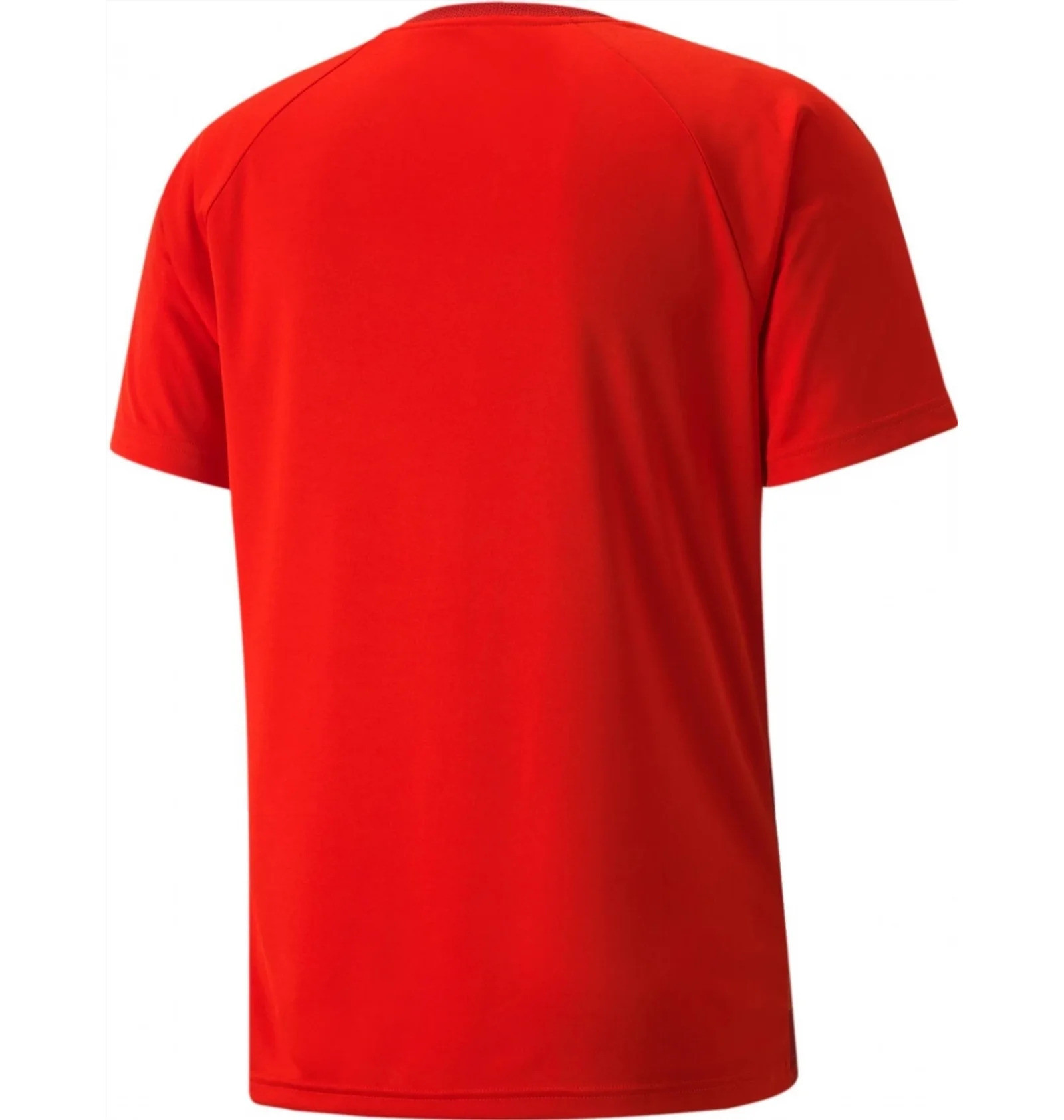 Футболка Puma teamVISION Jersey 704921-01