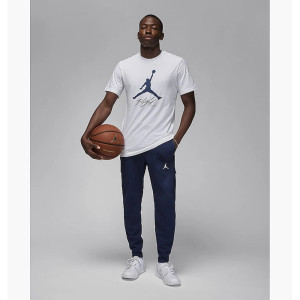 Футболка JORDAN JUMPMAN FLIGHT HBR TEE AO0664-102