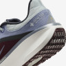 Кросівки Nike AIR WINFLO 11 GTX FQ1358-003