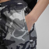 Штани чоловічі Air Jordan Mvp Trousers Camo/Grey FZ3529-010