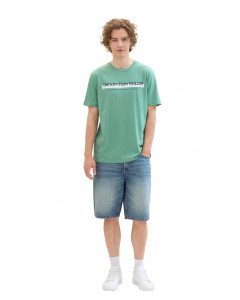 Футболка T-shirt Men's DENIM 1037653ХХ13537 Tom Tailor L Бірюзовий 1037653ХХ13537