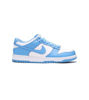 Кросівки NIKE DUNK LOW (GS) CW1590-103