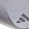 Килимок для йоги Adidas Yoga Mat ADYG-10001SV