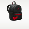 Рюкзак Nike Y JDI MINI BKPK - SU26 AOP IO1530-010