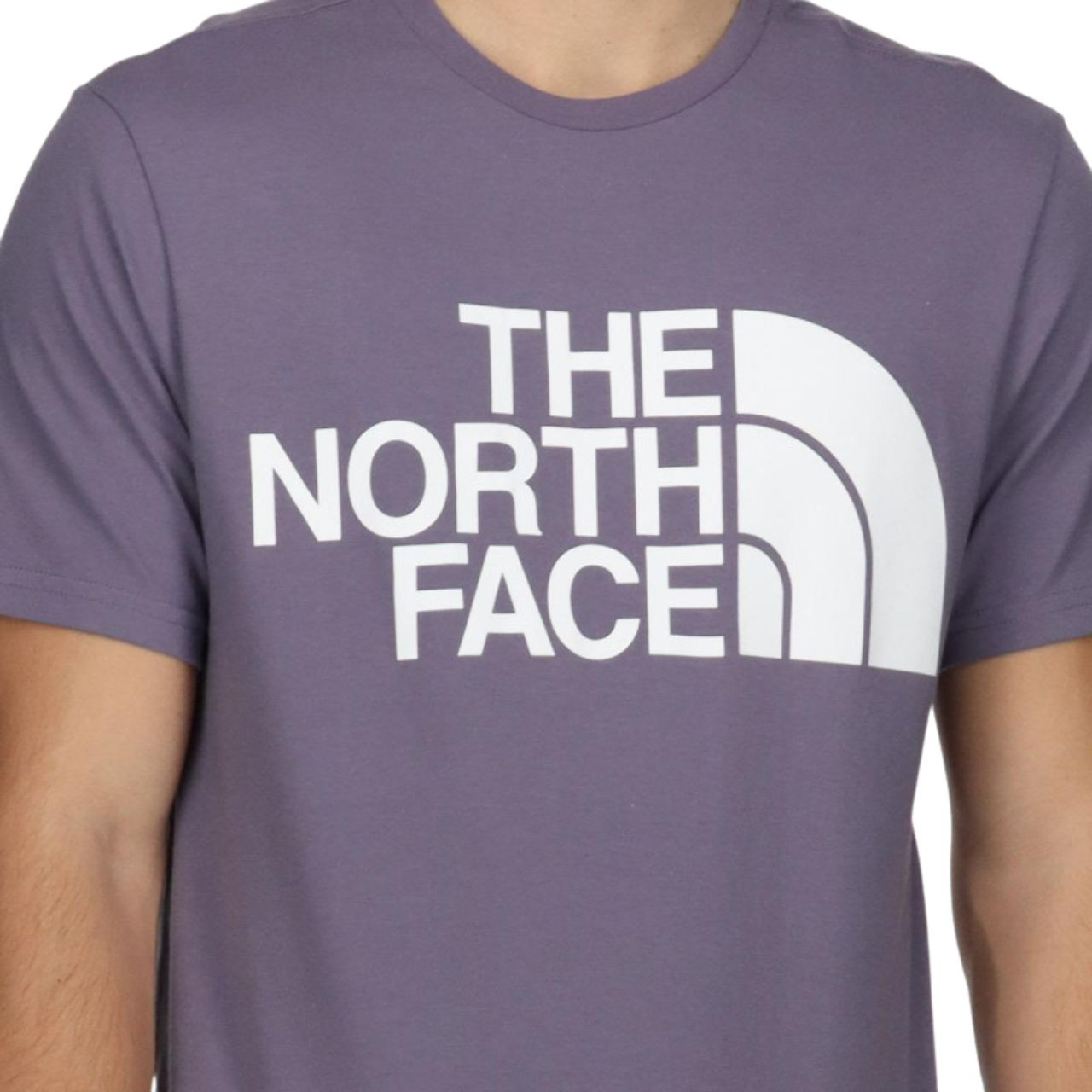 Футболка The North Face M STANDARD SS TEE NF0A4M7XN141