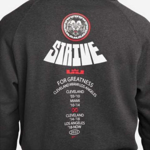 Худі Nike Lebron Pullover Basketball Hoodie Grey DQ6129-032