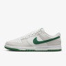Кросівки Nike DUNK LOW RETRO DV0831-107