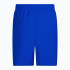 Шорти чоловічі Nike Swim Essential 5 Blue NESSA560-494 NESSA560-494 Шорти чоловічі Nike Swim Essential 5 Blue NESSA560-494 NESSA560-494