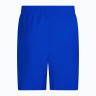 Шорти чоловічі Nike Swim Essential 5 Blue NESSA560-494 NESSA560-494