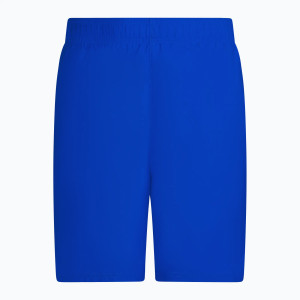 Шорти чоловічі Nike Swim Essential 5 Blue NESSA560-494 NESSA560-494