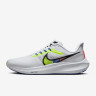 Кросівки Nike Pegasus 39 Premium White DX1627-100