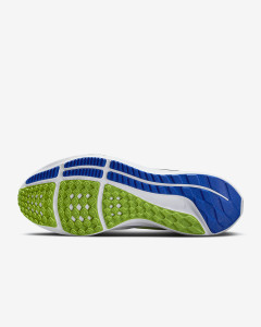 Кросівки Nike Pegasus 39 Premium White DX1627-100