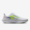 Кросівки Nike Pegasus 39 Premium White DX1627-100