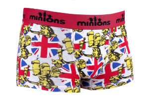Труси-боксери MinionS ROUGE - SCOOTER сірий Чол 10-12 30890253-2