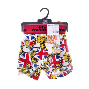 Труси-боксери MinionS ROUGE - SCOOTER сірий Чол 10-12 30890253-2
