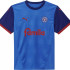 Футболка Puma Holstein Kiel Home Jersey Jr 946317-01