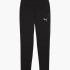 Штани Puma teamFINAL Casuals Pants 658532-03
