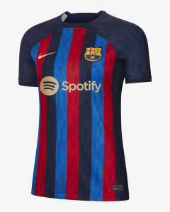 Футболка Nike Dri-FIT Football Shirt DJ7771-454