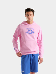 Худі Arena HOODED SWEAT ARENA LOGO 010197-900