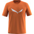 Футболка Salewa Solidlogo Dri-Release 013.012.1241