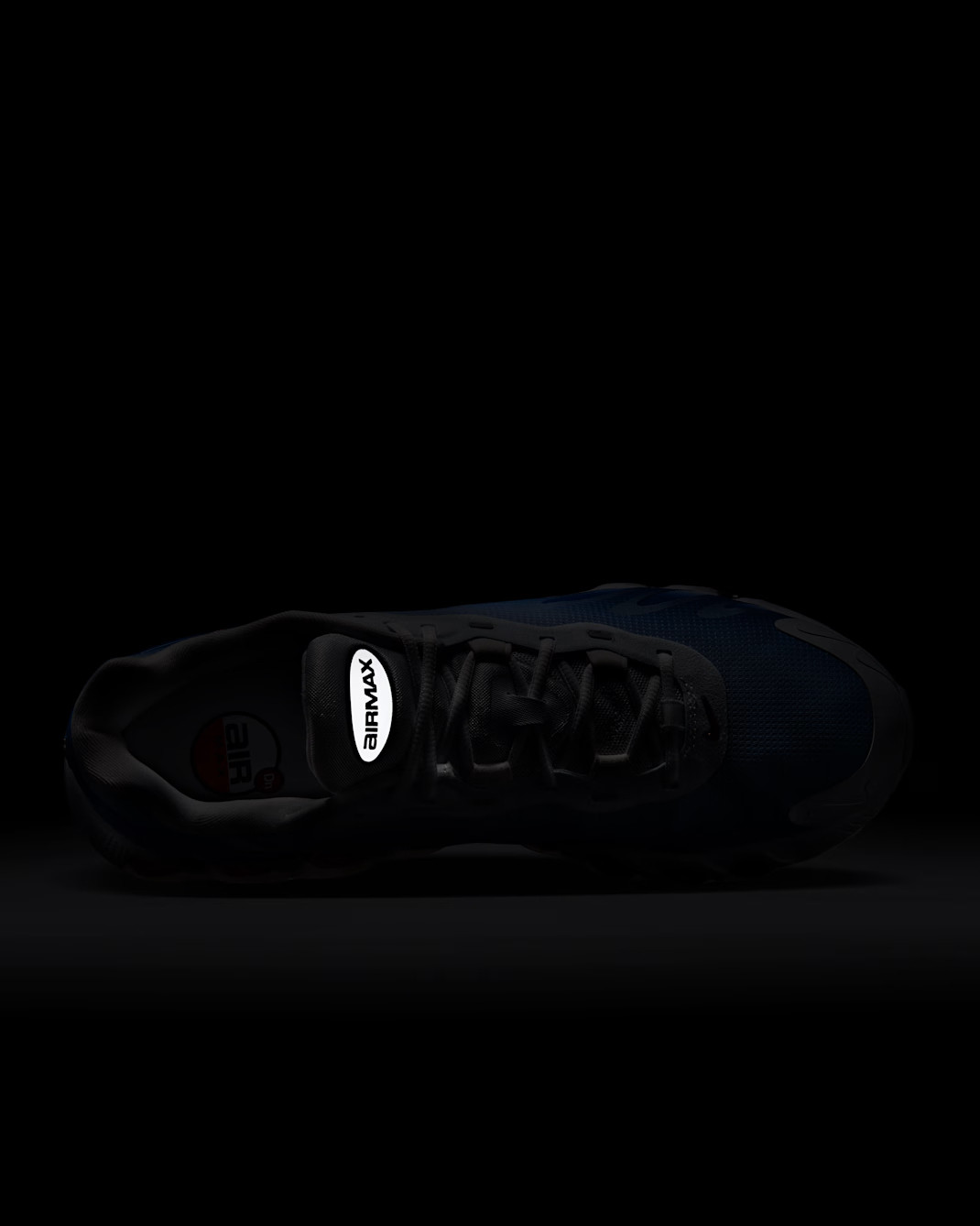 Кросівки Nike AIR MAX DN8 FQ7860-101