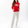 Худі HELLY HANSEN W HH LOGO HOODIE 33978-162