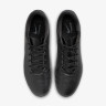 Бутси Nike LEGEND 10 ACADEMY FG/MG DV4337-002