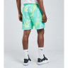 Шорти Jordan M J JUMPMAN AIR MSH AOP SHORT CZ4757-675