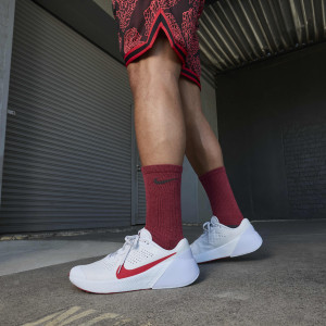 Кросівки Nike Air Zoom Tr 1 DX9016-004