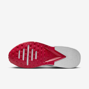 Кросівки Nike Air Zoom Tr 1 DX9016-004