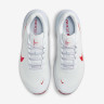 Кросівки Nike Air Zoom Tr 1 DX9016-004