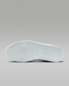 Кросівки Jordan COURT CONNECT LOW IQ5698-101