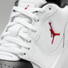 Кросівки Jordan COURT CONNECT LOW IQ5698-101