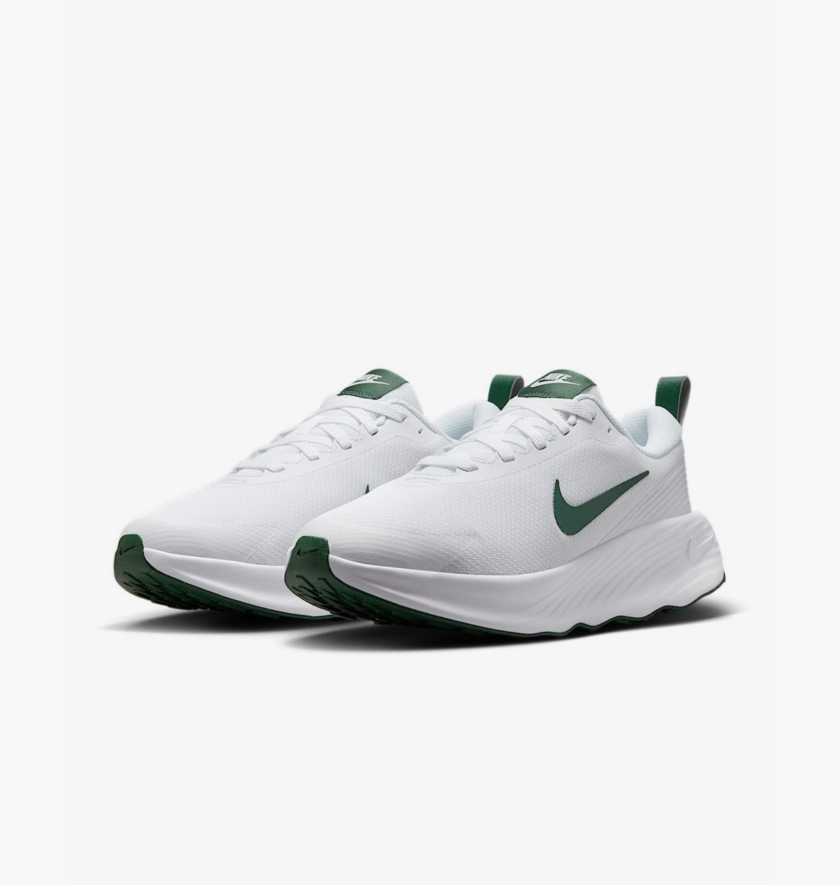 Кросівки Nike W PROMINA FV6343-102