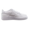 Кросівки Nike AIR FORCE 1 LE (GS) FV5951-111