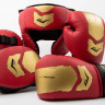 Тренувальний набір для боксу Everlast Prospect 2 Boxing Kit дитячий P00003053