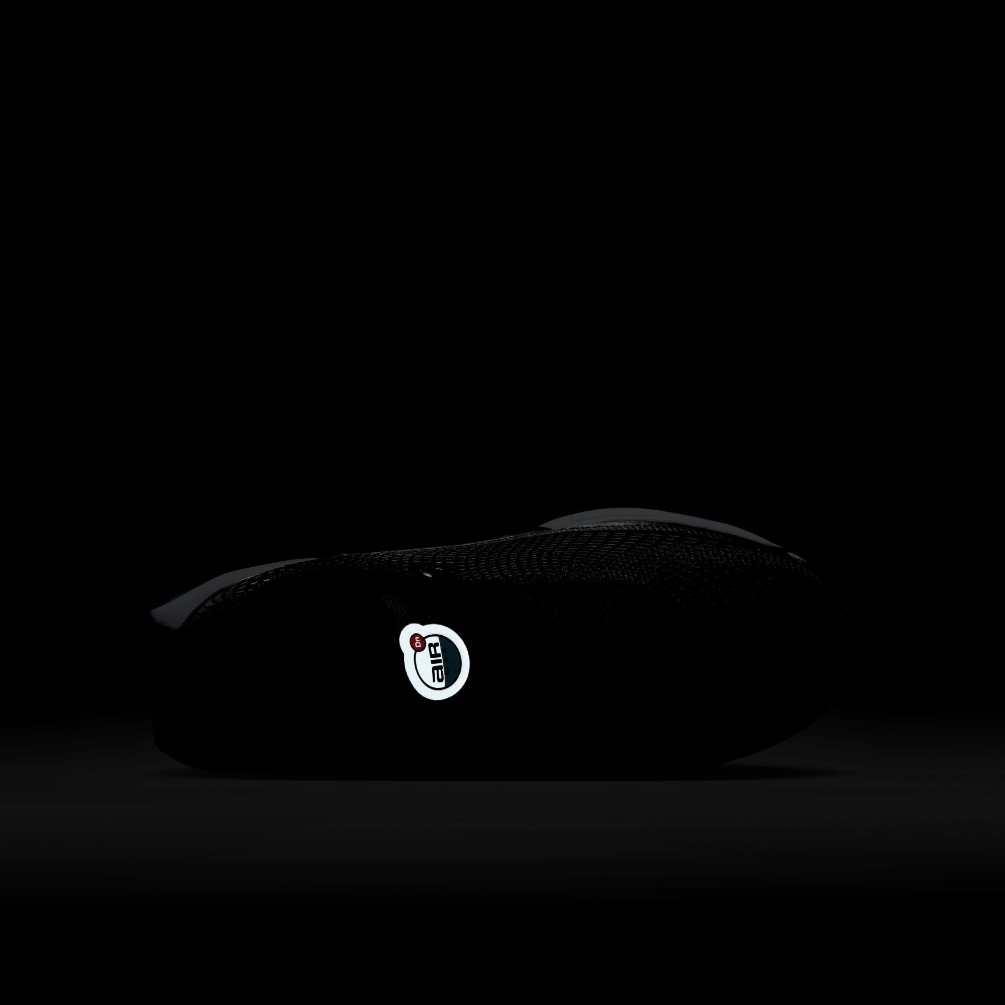 Кросівки Nike AIR MAX DN (GS) FB8987-007