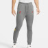 Штани чоловічі Nike Liverpool 21/22 Dri-Fit Travel Pant Grey DB7876-088 Штани чоловічі Nike Liverpool 21/22 Dri-Fit Travel Pant Grey DB7876-088