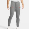 Штани чоловічі Nike Liverpool 21/22 Dri-Fit Travel Pant Grey DB7876-088