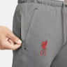 Штани чоловічі Nike Liverpool 21/22 Dri-Fit Travel Pant Grey DB7876-088