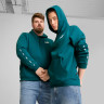 Худі чоловіче Puma Essential Tape Green 849040-08 849040-08