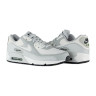 Кросівки Nike AIR MAX 90 GTX DJ9779-003