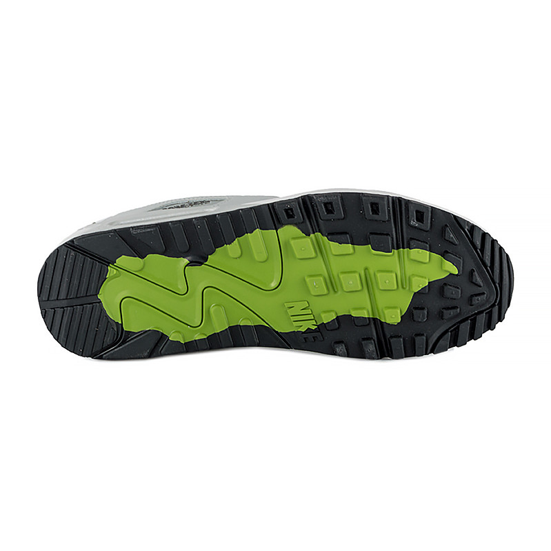 Кросівки Nike AIR MAX 90 GTX DJ9779-003