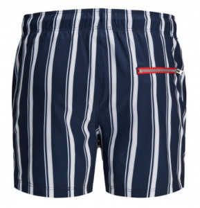 Шорти для плавання JJIMAUI JJSWIMSHORTS ST STRIPE 12186194 Navy Blazer Jack&Jones L Темно-синій 12186194NAVYBLAZER