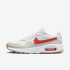 Кросівки чоловічі Nike Air Max Sc MenS Shoes White CW4555-112